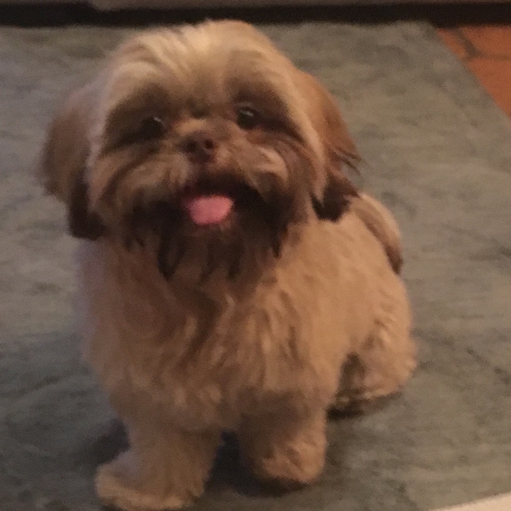 Meet your Posher, Hee